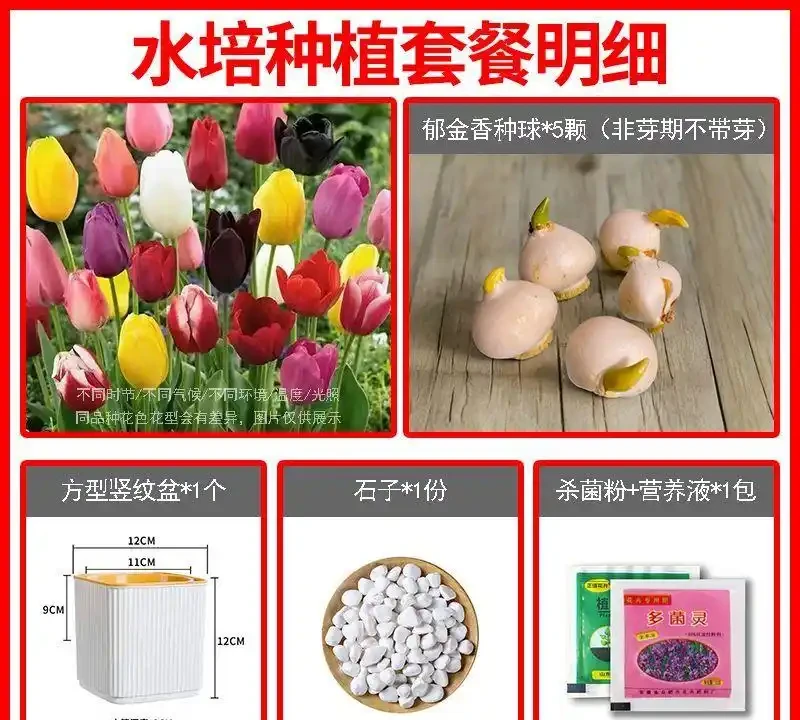 陽臺養花總養死?新手別亂買!資深花友實測6款耐陰易養高顏值花卉,20天開花、3個月少澆水,存活率超95%,看完直接照搬!