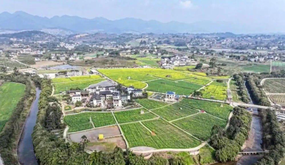 重慶已經是春天了,油花椰菜開了,紅梅也開了,過完年又可以來看往春天的列車,未來三天氣溫回升,暖風吹人倍感舒適