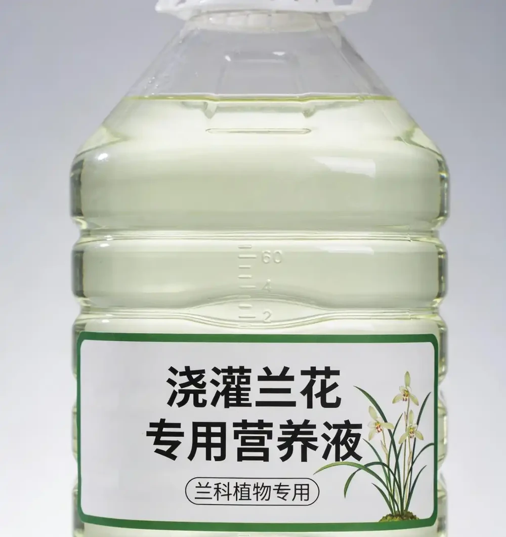 蘭花復活沒有「神水」!資深花友揭秘:救活腐根蘭的關鍵三步,一步都不能錯