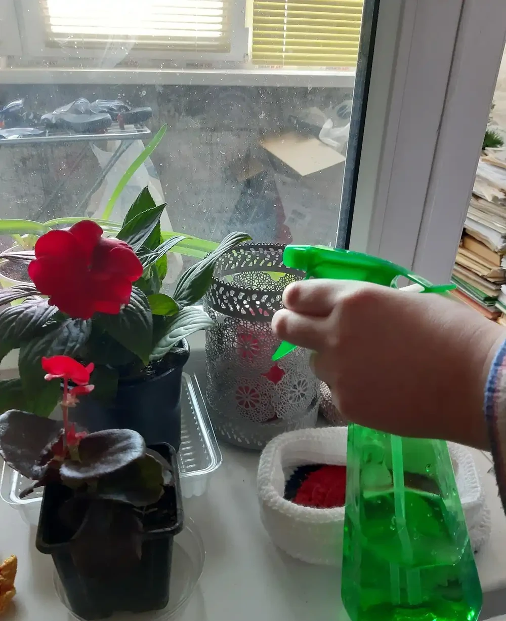 玫瑰總養蔫?學會怎樣用水養玫瑰,開花期輕鬆延長一倍