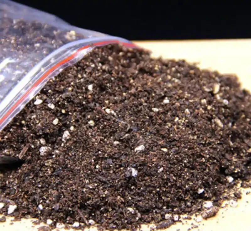盆栽缺肥不用買!自制有機肥,澆啥都旺不燒根