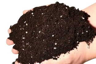 盆栽缺肥不用買！自制有機肥，澆啥都旺不燒根