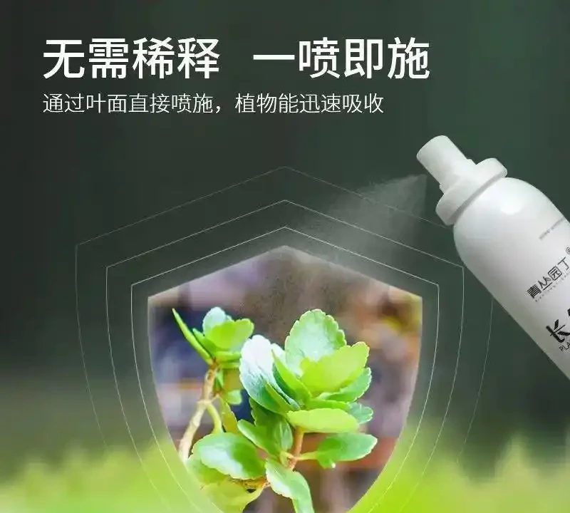 家裡綠植常被誇卻不知咋做到?內行分享這些肥料避坑指南,用後3個月綠植葉片油綠茂盛,高階感直接拉滿!