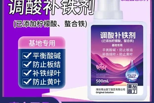 家裡綠植常被誇卻不知咋做到？內行分享這些肥料避坑指南，用後3個月綠植葉片油綠茂盛，高階感直接拉滿！