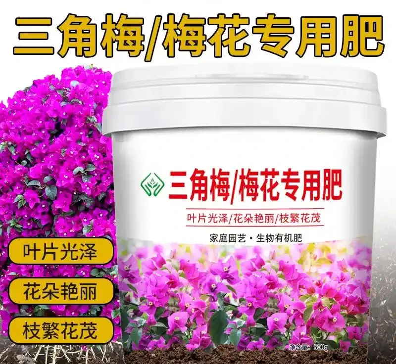 養花新手常遇植物「營養不良」難題？內行養花人都用這些肥料避坑，讓植物葉片翠綠、花朵繁茂，效果看得見！