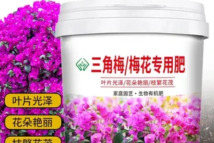 養花新手常遇植物「營養不良」難題？內行養花人都用這些肥料避坑，讓植物葉片翠綠、花朵繁茂，效果看得見！