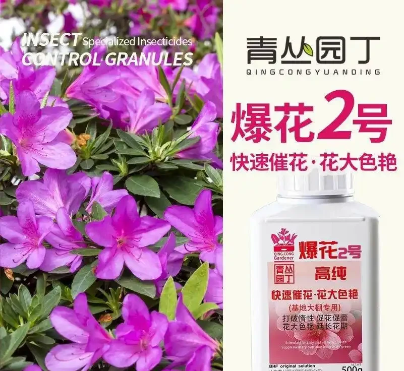 新手園藝師常遇植物生長難題?內行揭秘這些肥料才是關鍵!用後植物根系發達、葉片翠綠,煥發出勃勃生機!