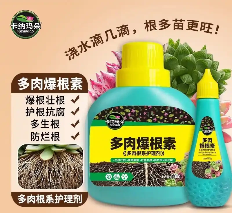 新手園藝師常遇植物生長難題?內行揭秘這些肥料才是關鍵!用後植物根系發達、葉片翠綠,煥發出勃勃生機!