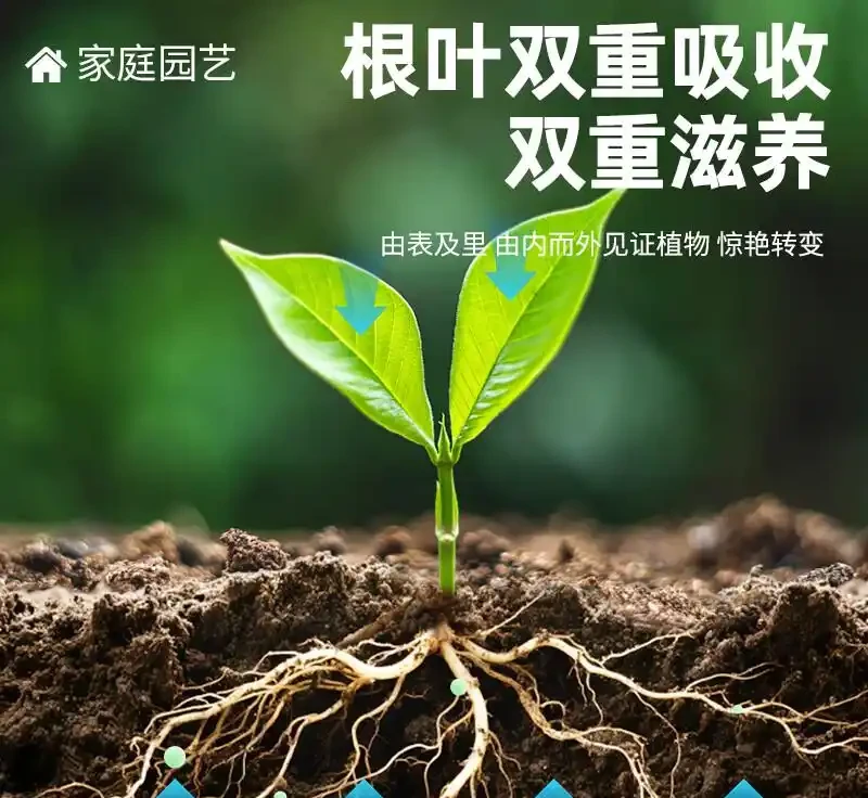 新手園藝師常遇植物生長難題?內行揭秘這些肥料才是關鍵!用後植物根系發達、葉片翠綠,煥發出勃勃生機!