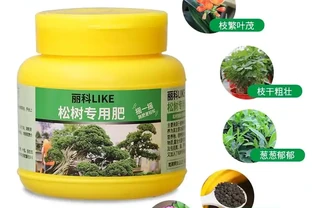 「養綠植總黃葉腐根？內行花友從不踩的肥料選購坑！用這幾種肥料，兩週讓你家盆栽枝繁葉茂，煥發生機！」