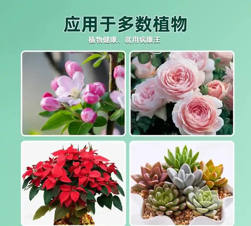 新手養綠植總踩坑?內行都用這些肥料!實測堅持使用3個月,花草葉片更綠、花朵更豔,生機勃勃超吸睛!