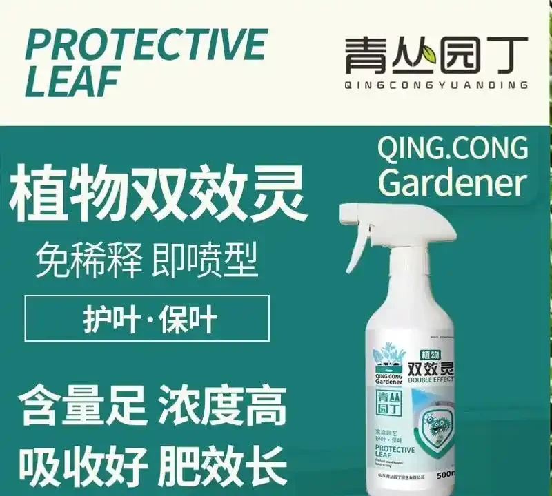 新手養綠植總踩坑?內行都用這些肥料!實測堅持使用3個月,花草葉片更綠、花朵更豔,生機勃勃超吸睛!