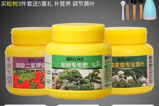 新手養綠植總踩坑？內行都用這些肥料！實測堅持使用3個月，花草葉片更綠、花朵更豔，生機勃勃超吸睛！