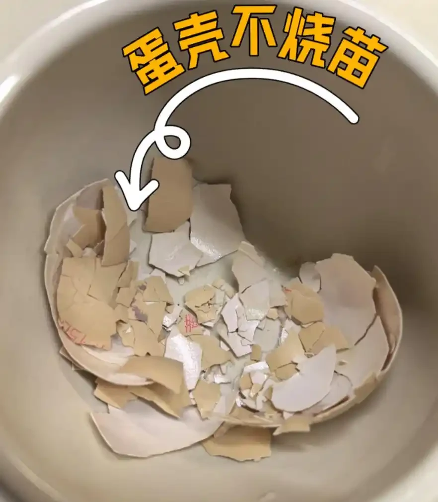 養花必看!這8種花再不施肥就晚了,錯過開花期,只能再等1年!