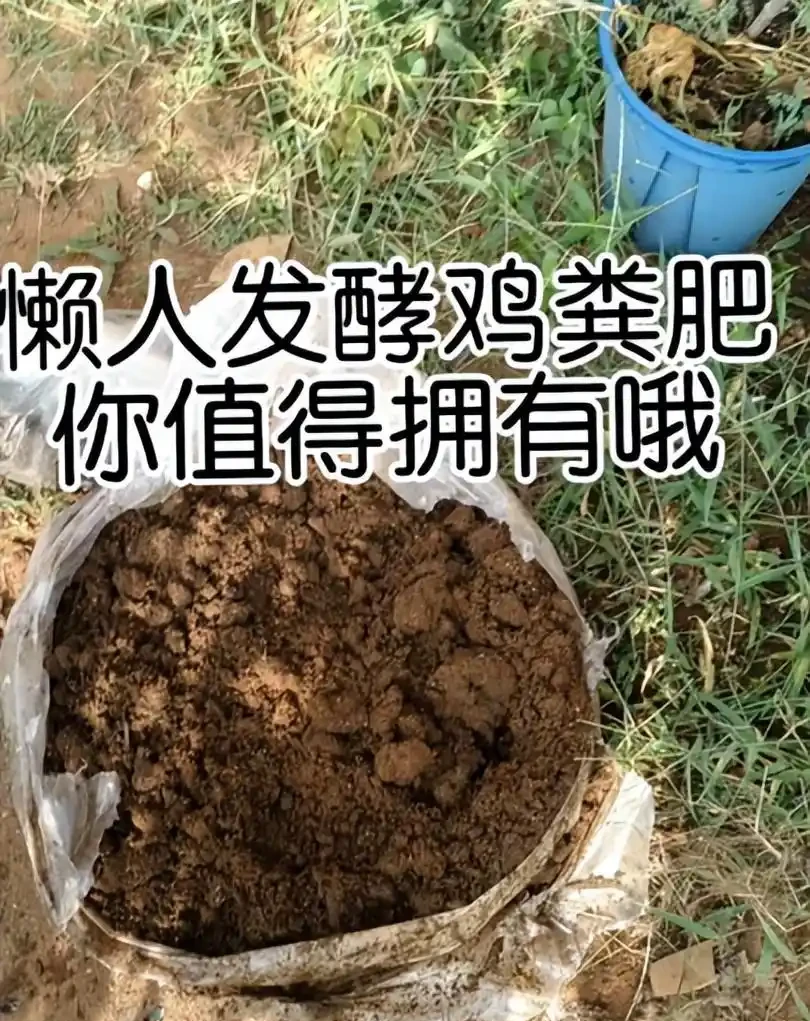 養花必看!這8種花再不施肥就晚了,錯過開花期,只能再等1年!