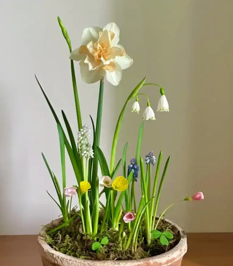 養花必看!這8種花再不施肥就晚了,錯過開花期,只能再等1年!