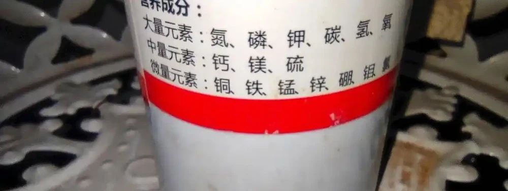 河北男子自制「火山肥」,養出巴掌大蝴蝶蘭!專家:他無意中摸到了養花的終極密碼