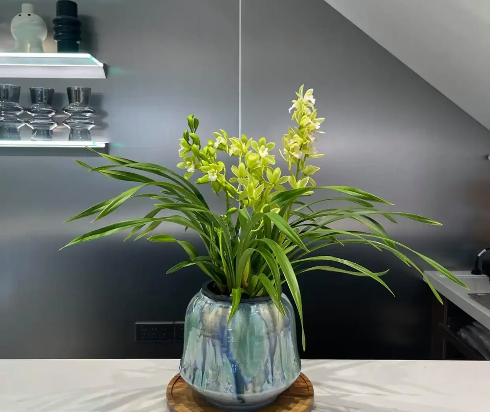 香氣非常好聞的8種花,養家裡滿屋飄香,看看哪種香到你心巴上