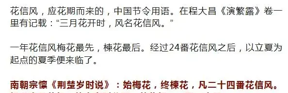四季花歷：一張圖看懂12個月的花開密碼