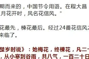 四季花歷：一張圖看懂12個月的花開密碼