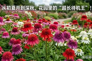這花耐寒又耐熱，種一次年年開！從6月開到10月，越曬開花越多！