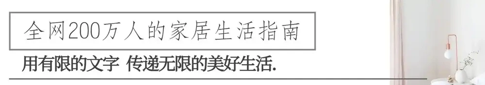 被年輕人曬出來的「辦公室綠植」驚到了！果然，人類對綠植的開發不足1%