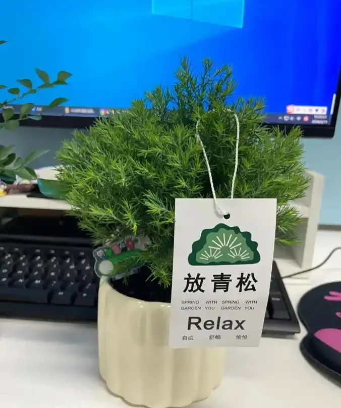 被年輕人曬出來的「辦公室綠植」驚到了！果然，人類對綠植的開發不足1%