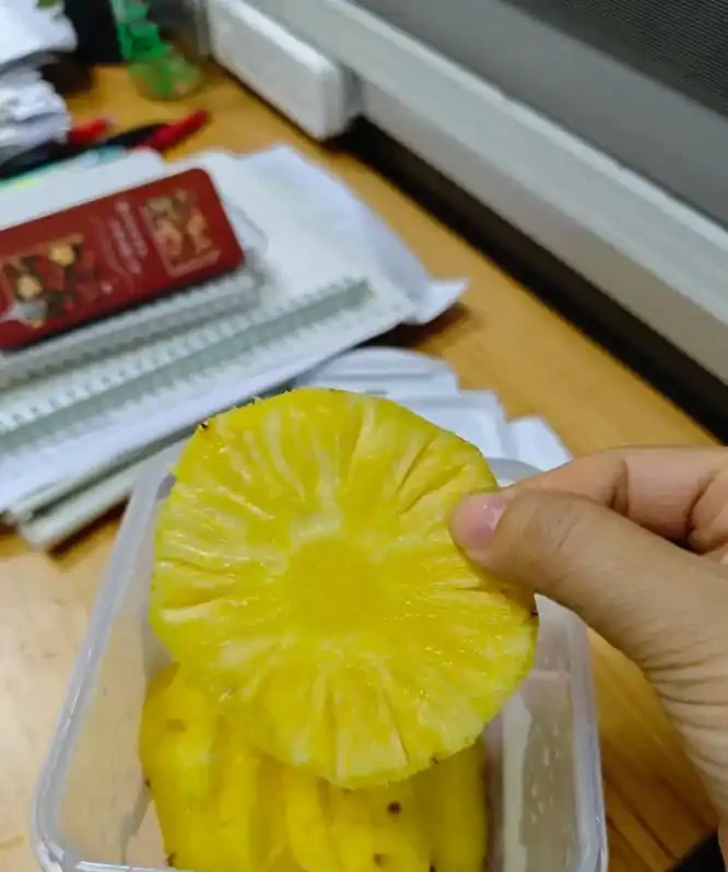 被年輕人曬出來的「辦公室綠植」驚到了！果然，人類對綠植的開發不足1%