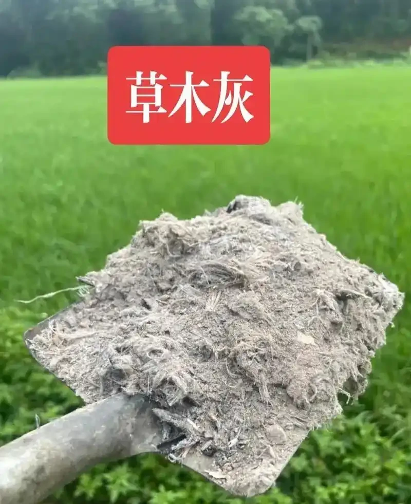 我種綠葉蔬菜,每次都會加這幾種小料,長勢猛三倍,還不容易生病
