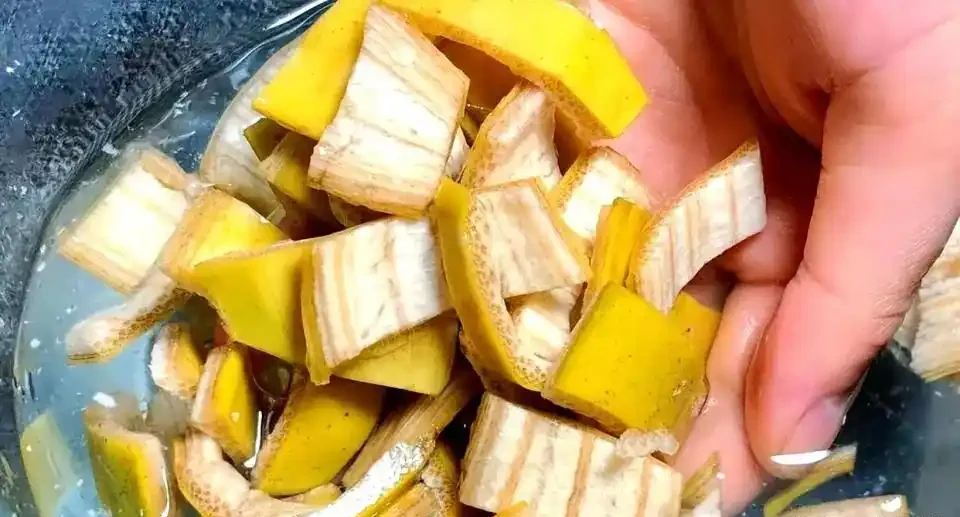 我種綠葉蔬菜,每次都會加這幾種小料,長勢猛三倍,還不容易生病