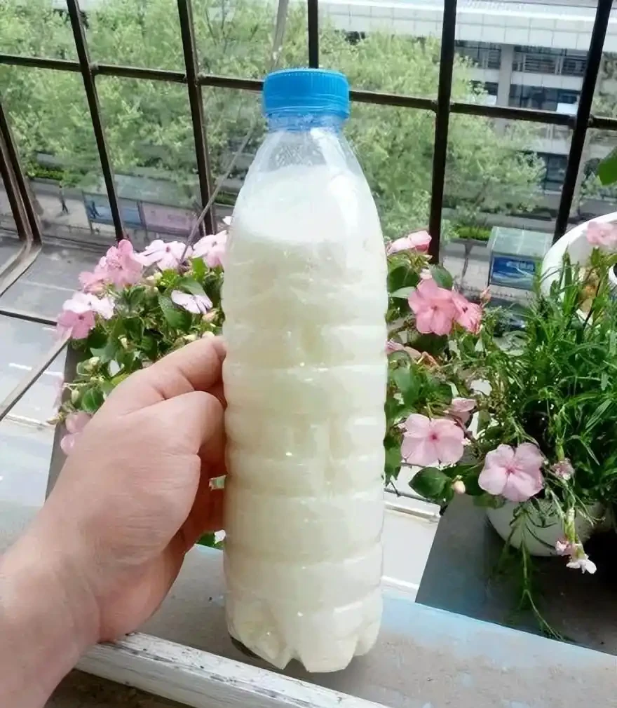 我種綠葉蔬菜,每次都會加這幾種小料,長勢猛三倍,還不容易生病