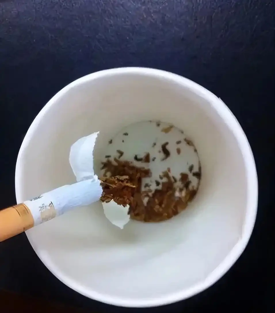 我種綠葉蔬菜,每次都會加這幾種小料,長勢猛三倍,還不容易生病