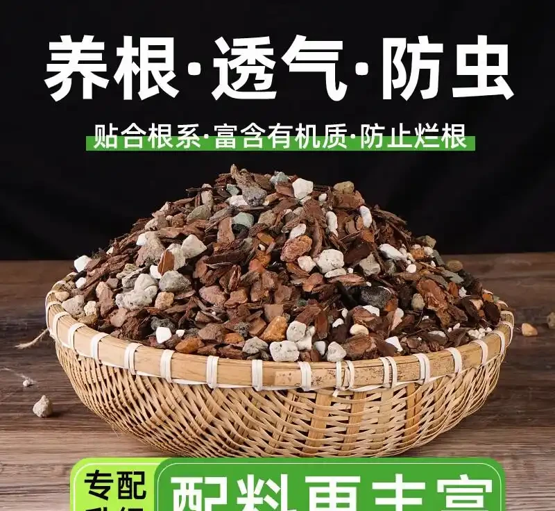 養蘭必備!這款植料讓你的蘭花根系壯如龍鬚