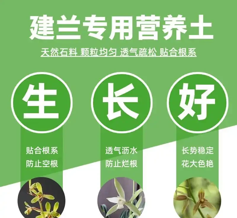 養蘭必備!這款植料讓你的蘭花根系壯如龍鬚