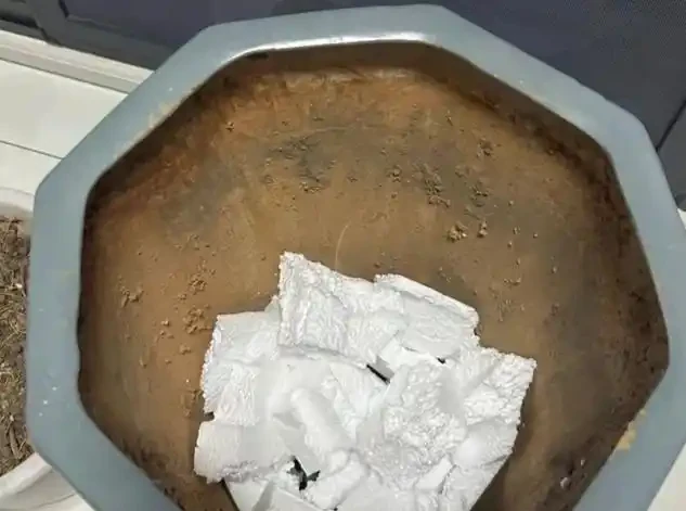 老花農絕不外傳的盆底秘方:墊上這幾樣「垃圾」,十年不腐根,葉子油亮瘋長