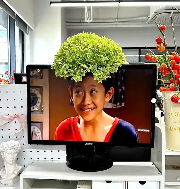 澆花不求人:家裡常見幾樣兌水,七天葉片綠油油