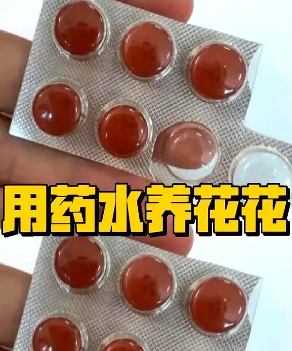 澆花不求人:家裡常見幾樣兌水,七天葉片綠油油