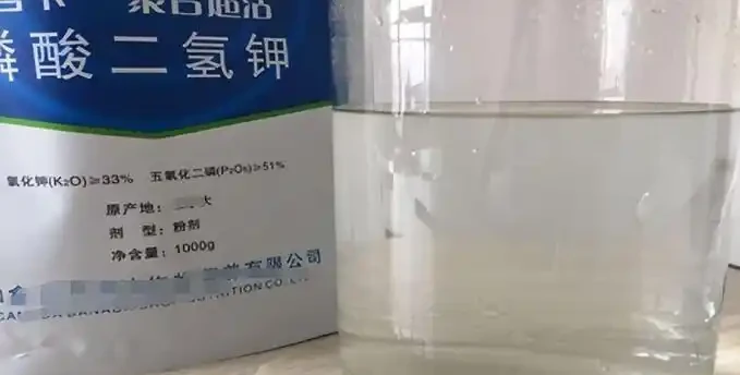 養花用磷酸二氫鉀,方法不對白搭!根系發達灌根,根系弱的噴葉,催花效果翻倍