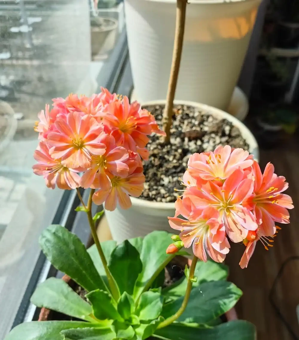 多曬太陽,狀態更好