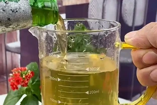 什麼淘米水果皮水都不如「這種水」，只需澆一點點，土壤比發糕軟，花根「蘿蔔粗」，養花像打了雞血蹭蹭長！