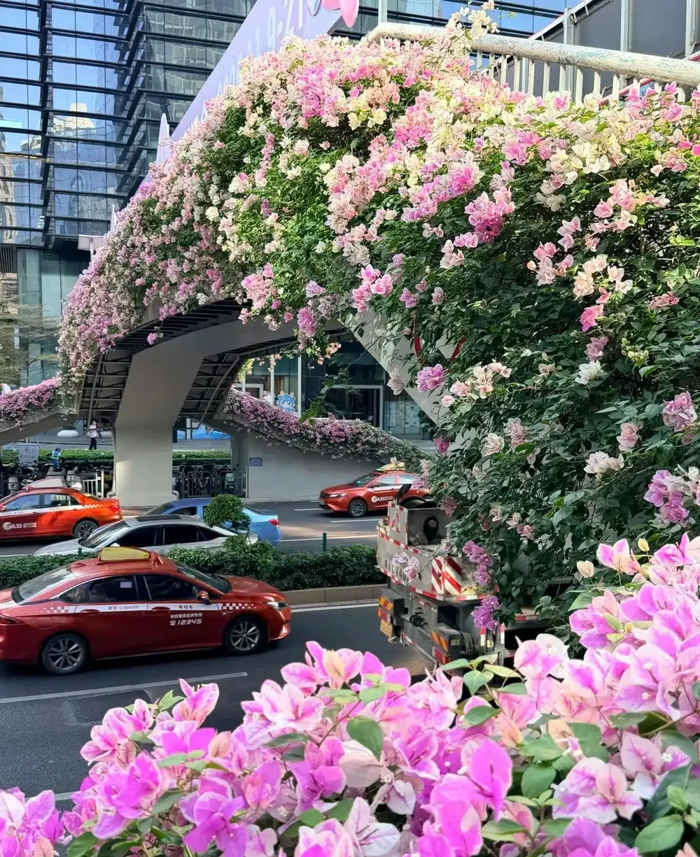 炎炎夏日，這7種花才是陽臺 「扛把子」，越熱越瘋長，越曬越爆花