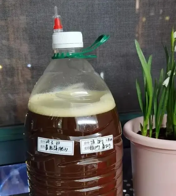 澆花光加水可不行！加這倆料，葉子綠得發光，一週爆花，美翻啦