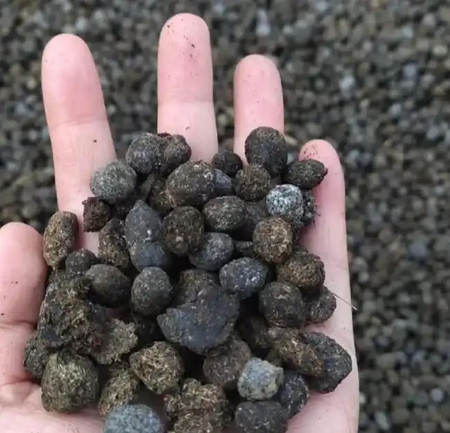 澆花光加水可不行！加這倆料，葉子綠得發光，一週爆花，美翻啦