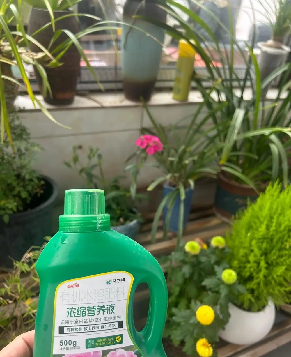 用家裡現成的材料,製作營養液!省錢又實用