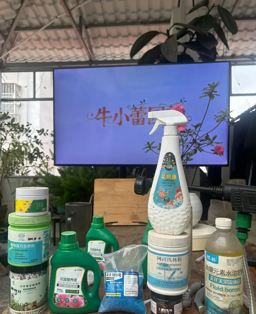 不想買營養液?試試這3種自制營養液!