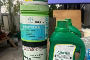 營養液濃度怎麼配？手把手教你（附配比表）