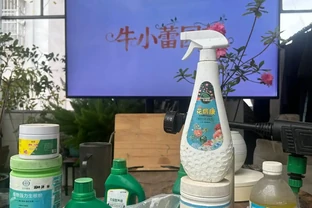 不想買營養液？試試這3種自制營養液！