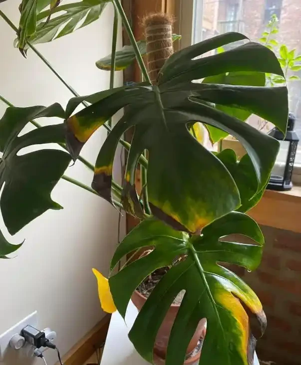 真正缺水