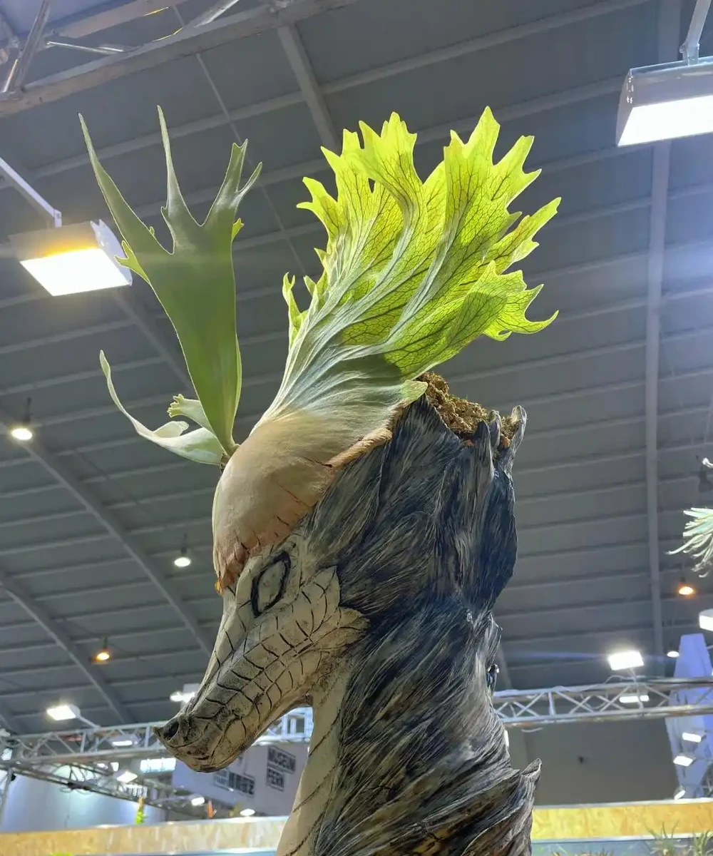 客廳光照不好反而好!養這6種「陰生花」,少曬長得旺,多曬死得快
