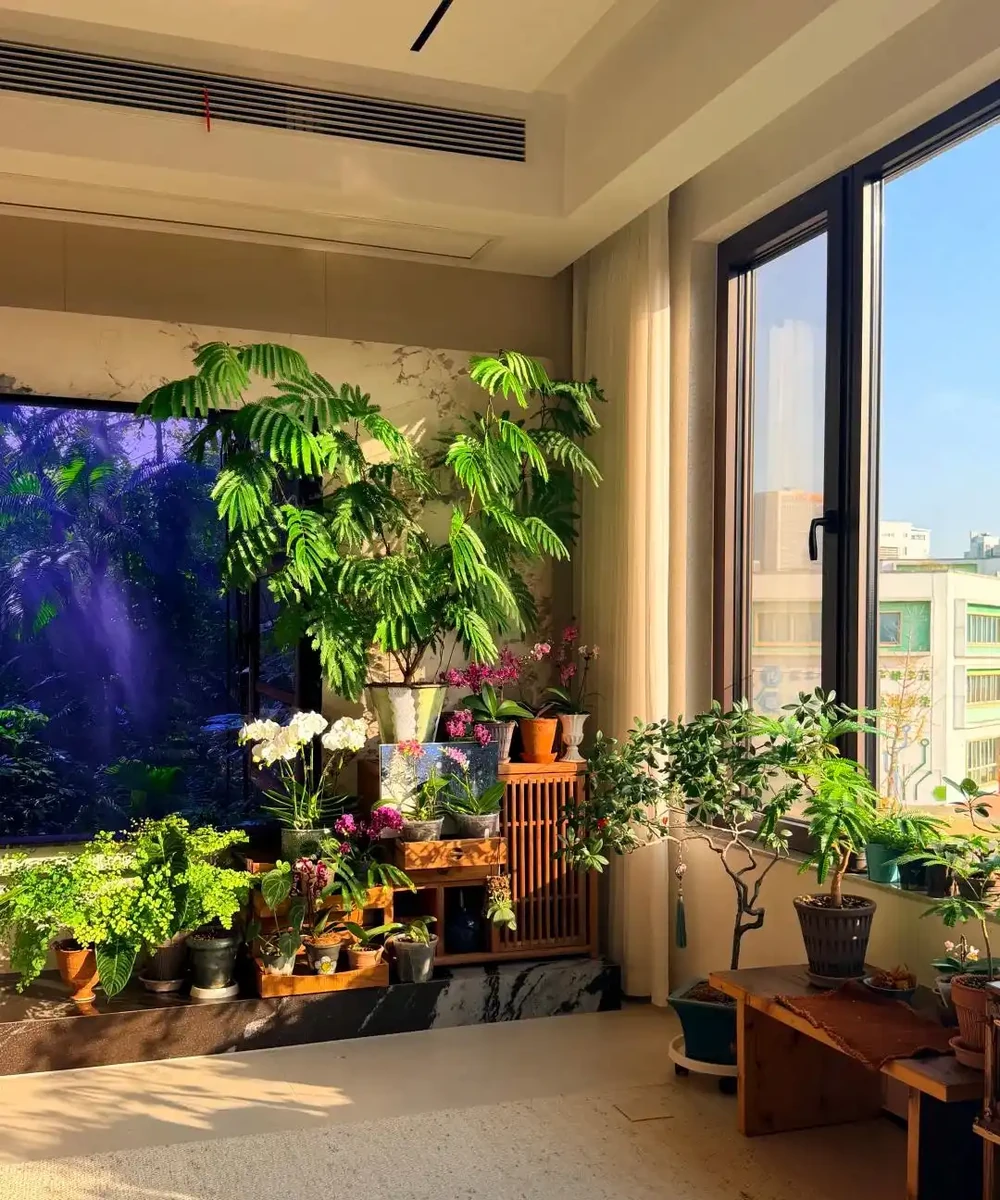 客廳光照不好反而好!養這6種「陰生花」,少曬長得旺,多曬死得快